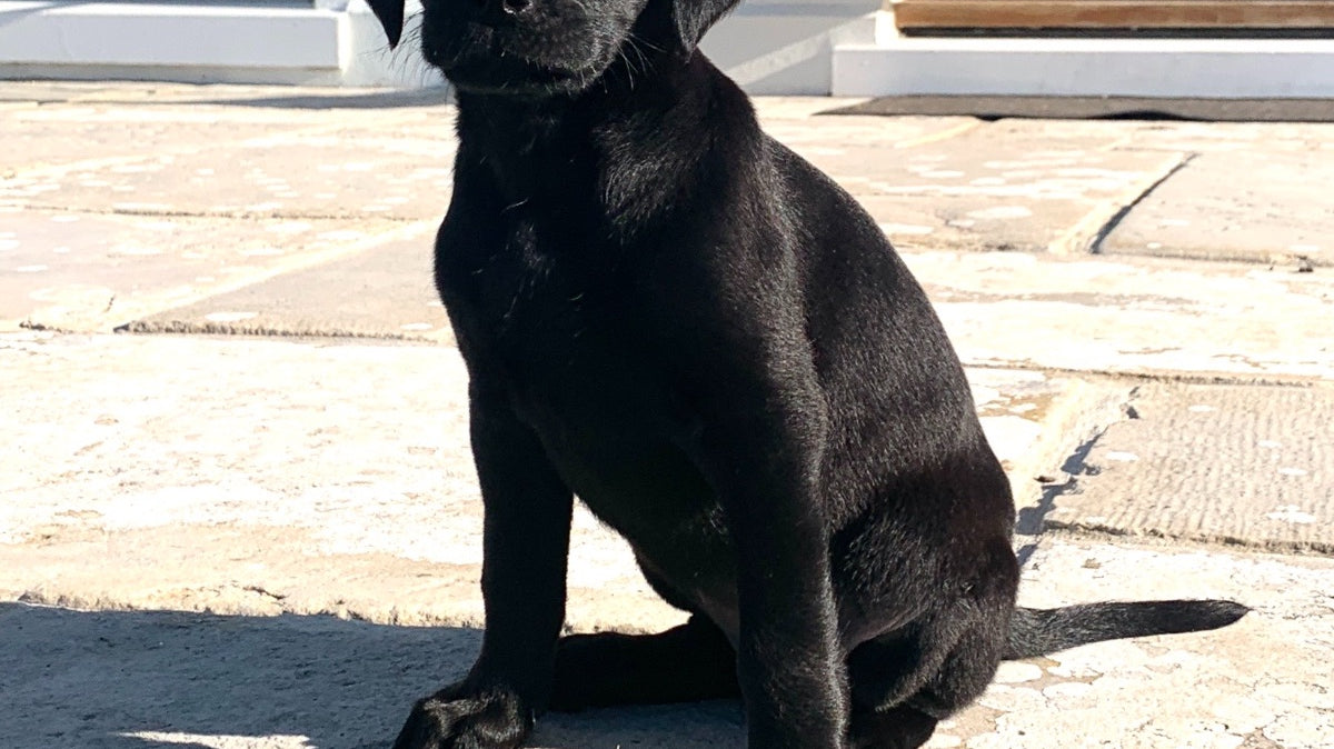 Where to begin .........