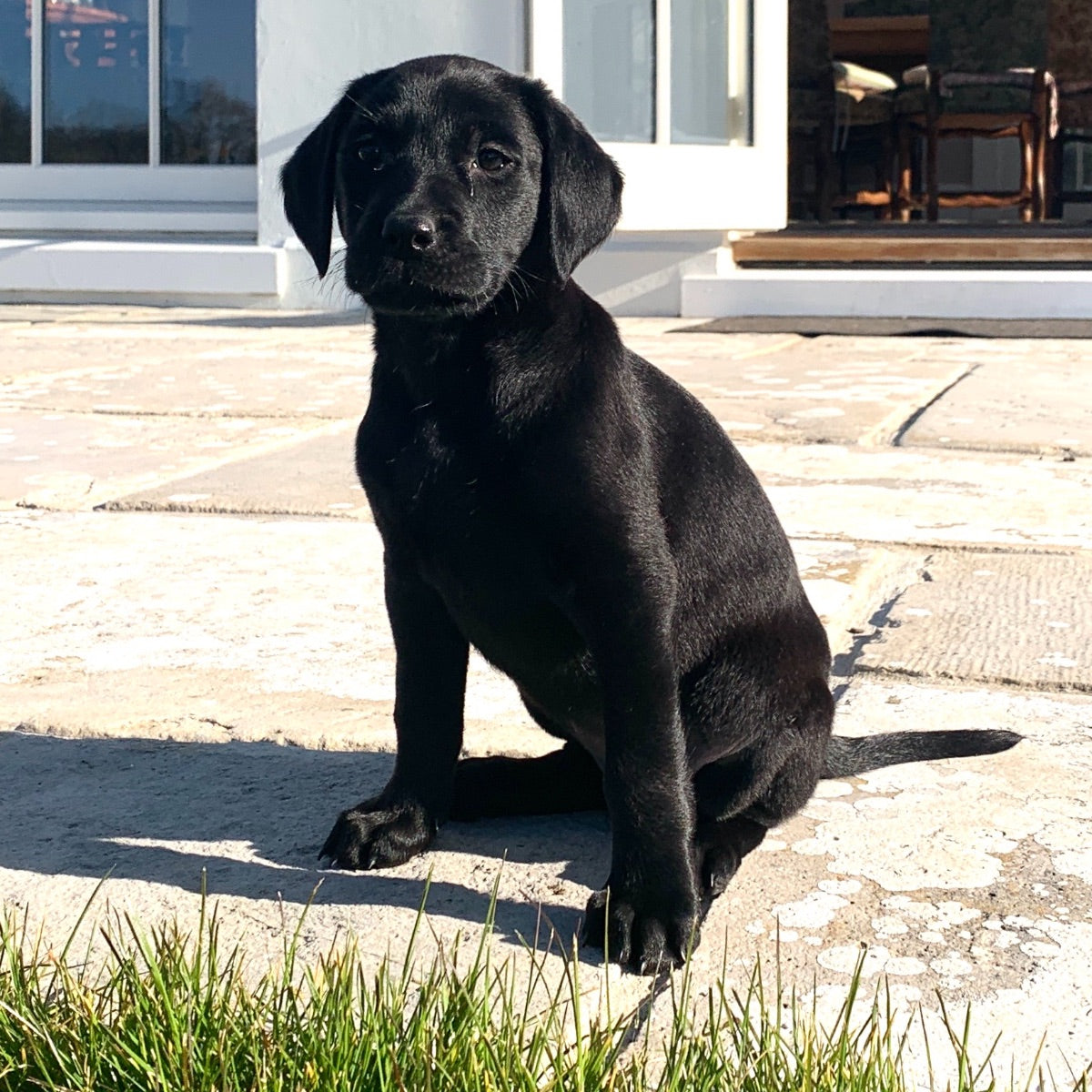 Where to begin .........